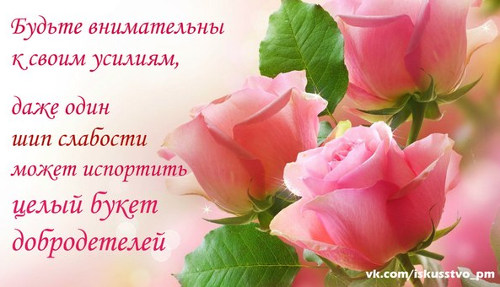 Мысли на каждый день, ЦДР