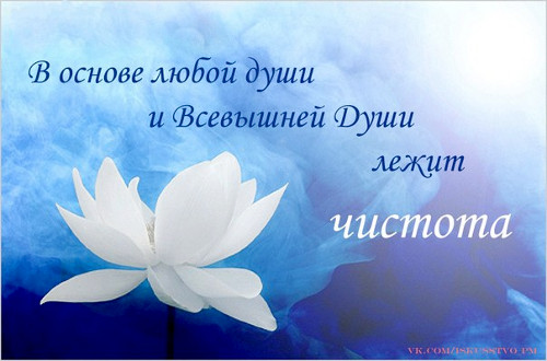 Мысли на каждый день, ЦДР