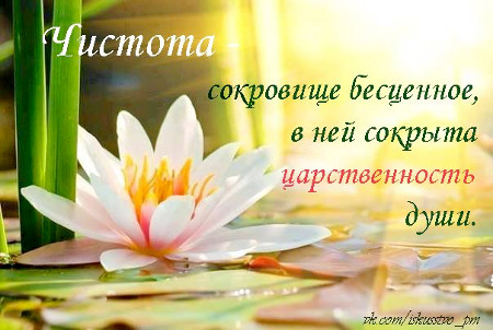 Мысли на каждый день, ЦДР