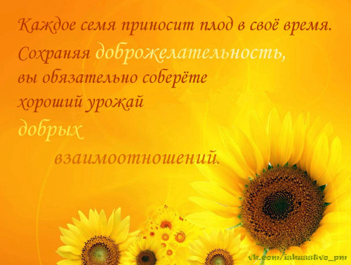 Мысли на каждый день, ЦДР