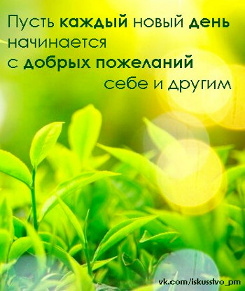 Мысли на каждый день, ЦДР