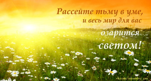 Мысли на каждый день, ЦДР