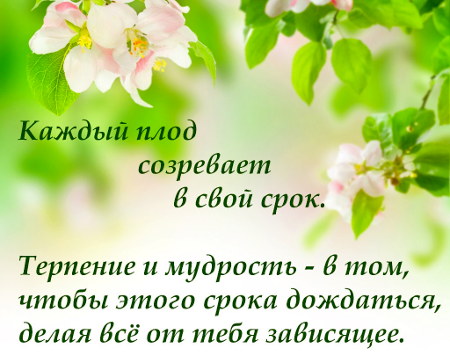 Мысли на каждый день, ЦДР