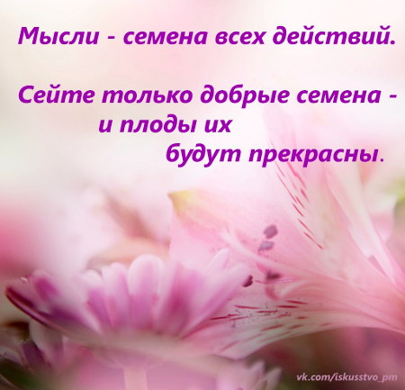 Мысли на каждый день, ЦДР