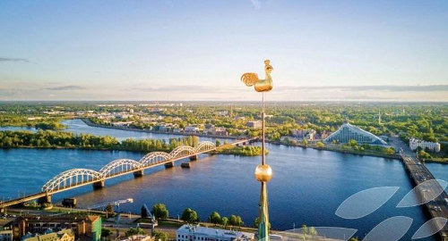 Семена для золотого петушка, Брахма кумарис Рига