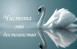 что такое целомудрие